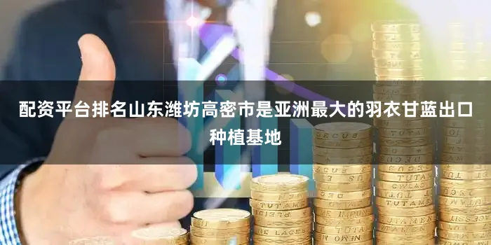 配资平台排名山东潍坊高密市是亚洲最大的羽衣甘蓝出口种植基地